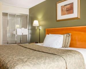 Standard King Room room in Rodeway Inn Huntington Station - Melville