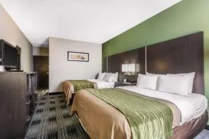 Comfort Inn Cleveland Airport - نورث أولمستيد