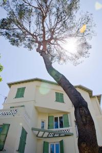 Appart'hotels Emeraude Residence Hoteliere : photos des chambres