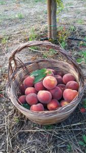 Casa Lucia Campagna Relax img13