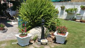 Casa Vacanze " IS MERIS " img23