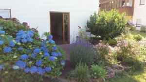 Enzkreisspitze Garten