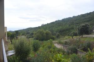 Villas FILETTA : photos des chambres