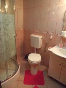 Cabana Piatra Runcului