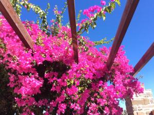 Cosy House Paros Greece