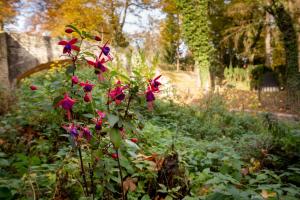 Apartment - Ground Floor room in Alte Falknerei