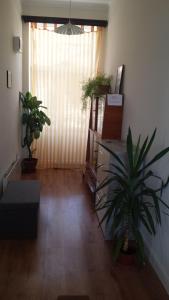 Apartament Stonel