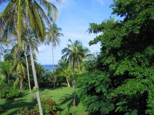 Casa de las Flores Tropical Lodge