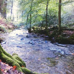 The Mews Room at The Coach House