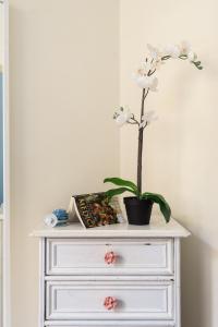 Enchanting Alcove in Florence Ponte Vecchio