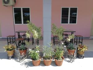 Chalet Desa Halban