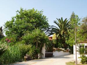 Baha-Ammes Kefalloniá Greece