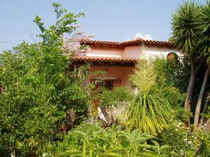 Baha-Ammes Kefalloniá Greece