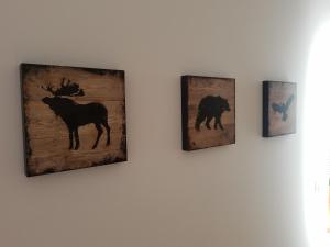 Sun and Spa Apartment