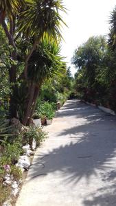 Baha-Ammes Kefalloniá Greece