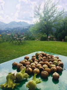 Ξενώνας Αλώνι-Guesthouse Aloni