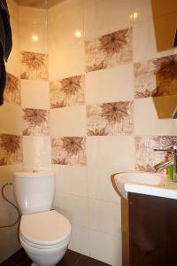 Карпатське сонце (Karpaty Sun)