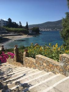 Roditses Beach Sea Front Apartments Samos Greece