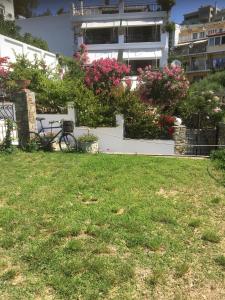 Roditses Beach Sea Front Apartments Samos Greece