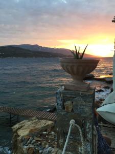 Roditses Beach Sea Front Apartments Samos Greece