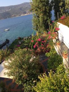 Roditses Beach Sea Front Apartments Samos Greece