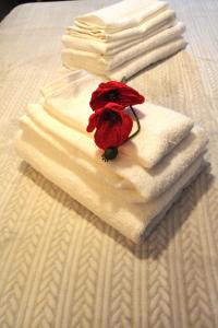 Pied à terre – Atelier