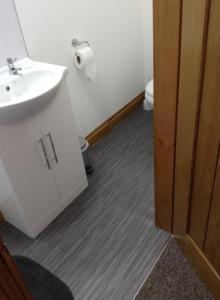 The Bear On The Square