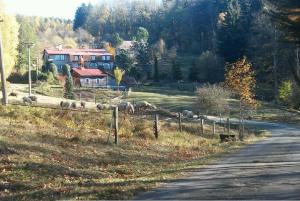 Апартамент Apartm&aacute;ny &Scaron;edek Roprachtice Чехия