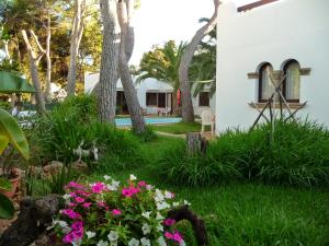 Apartamentos Osa Menor