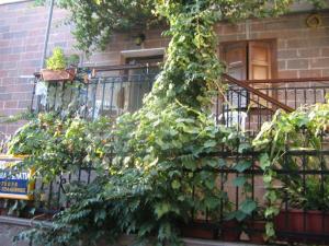 ΜΑΧΗ Ενοικιαζόμενα δωμάτια