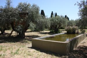 Mercouri stone cottage