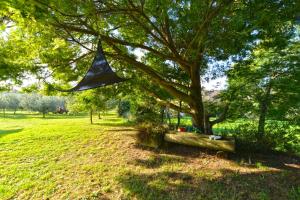 Apartments Bernarda 1773