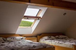 Apartment Velbana Gorca 