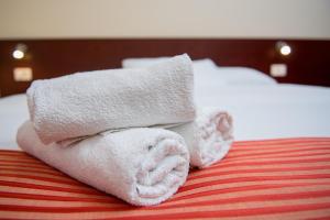 Double Room with Balcony room in Villa Anton