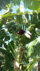 casa di campagna dal pozzo img39