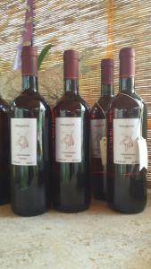 casa di campagna dal pozzo img54