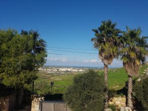 Bingemma Paradise Farmhouse