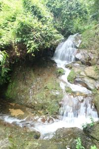 Jungle Inn Bukit lawang