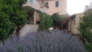 Apartment Lavanda garden