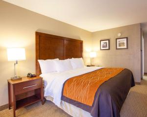 King Room - Non-Smoking room in Quality Inn & Suites I-40 East