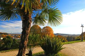 Hotels Hotel Adour : photos des chambres