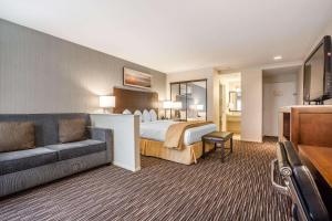 King Room - Non-Smoking room in Quality Inn & Suites Hermosa Beach