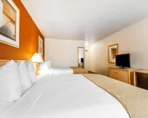 Queen Room with Two Queen Beds - Non-Smoking room in Quality Inn Petaluma