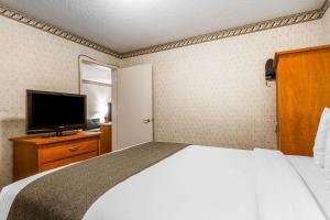 Queen Suite - Disability Access room in Quality Inn & Suites Santa Clara