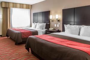 Standard Queen Room with Two Queen Beds - Non-Smoking room in Comfort Inn Los Angeles near Hollywood