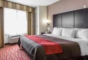 Standard King Room with Roll-in Shower - Accessible/Non-Smoking room in Comfort Inn Los Angeles near Hollywood