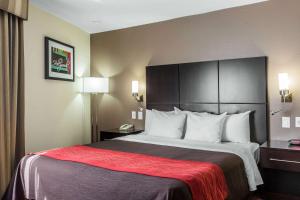 Standard Room, 1 King Bed, Non Smoking room in Comfort Inn Los Angeles near Hollywood