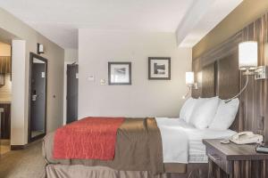 Comfort Inn Trenton