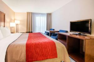Comfort Inn Fallsview