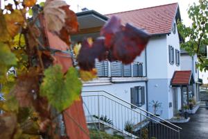 Walters Weinquartier